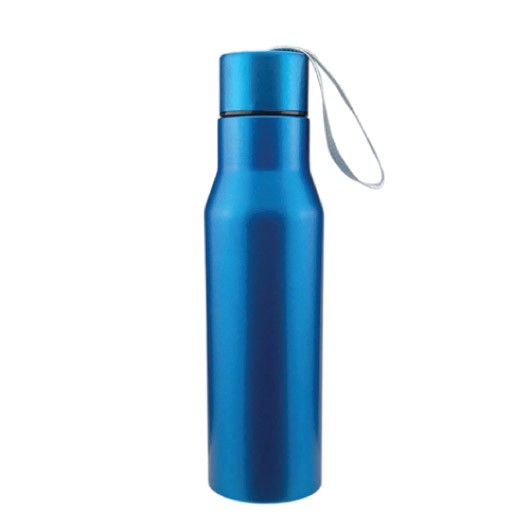 Harvard Metal Bottles blue